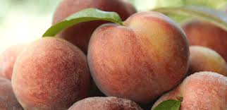 Atlanta Georgia Peaches